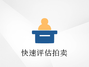 快速评估拍卖                               